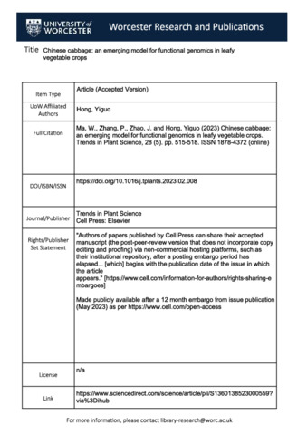 [thumbnail of chinese_cabbage_an_emerging_2023.pdf]