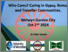 [thumbnail of Who Cares-Caring in Gypsy, Roma, and Traveller Communities (1) - Copy.pdf]