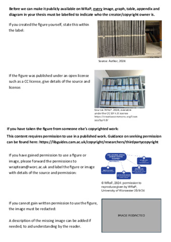 [thumbnail of Thesis Guidance Document.pdf]